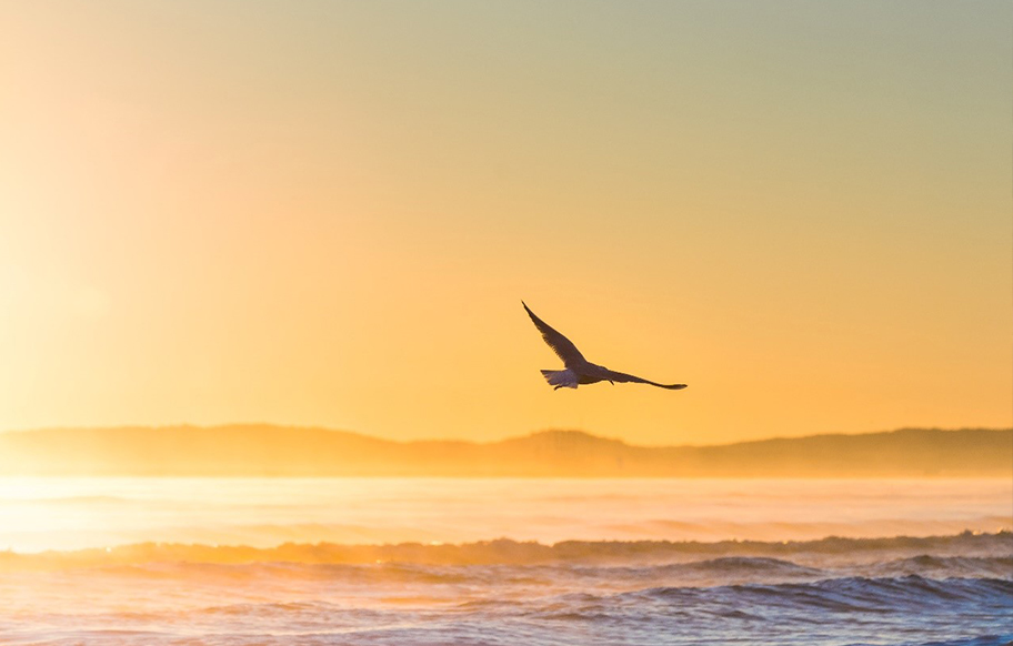 Are You Ready to Thrive in an Interconnected World?
