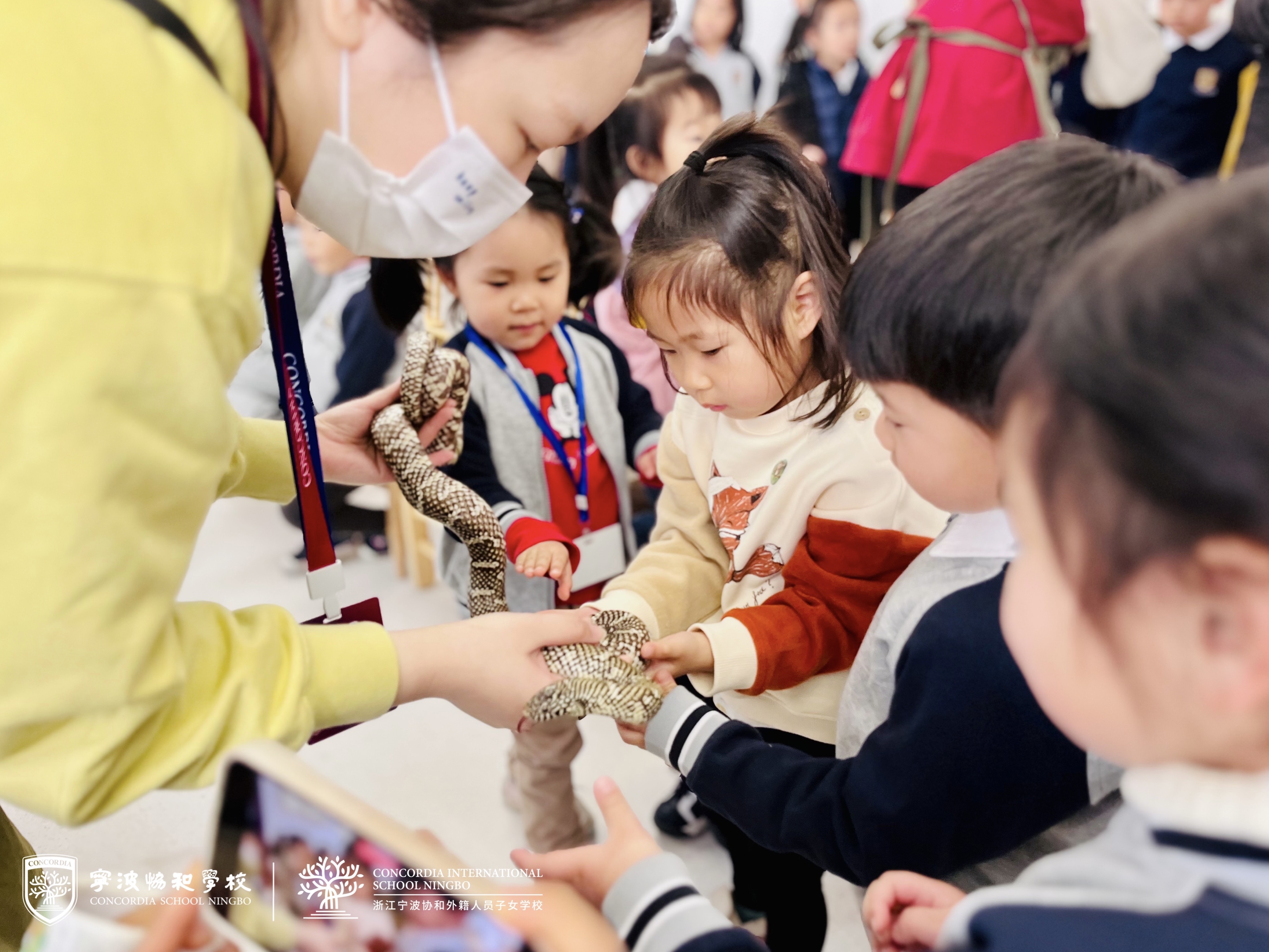 585a8126-0afa-4e59-91f8-b48656c6d1ec.jpg